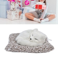 Schöne Simulation Tier