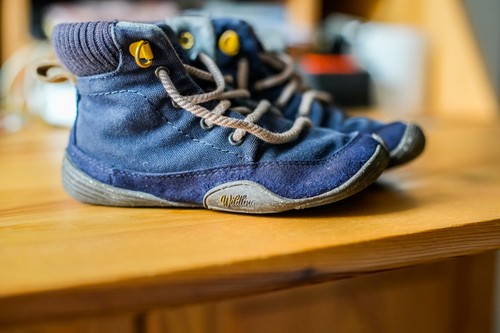 Wildlinge winter blau - winter, 25