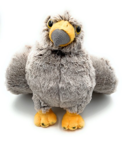 Steinadler adler vogal - steinadler,