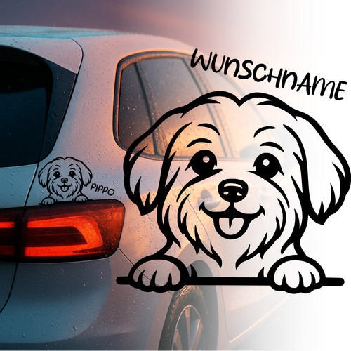 Malteser hund auto aufkleber - malteser,