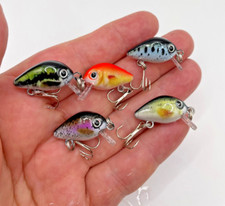 5 Stück Mini Fisch Barsch