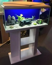 *NEU* Aquarium Aquarium