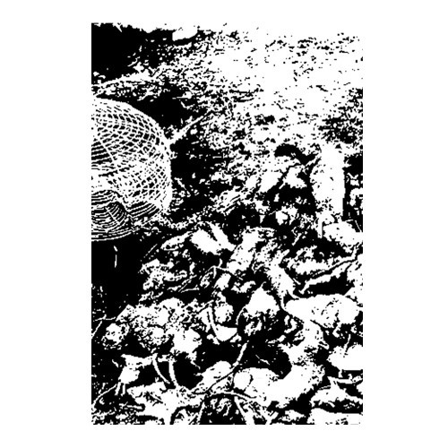 Rattenkönig conjuration - rattenkönig, –