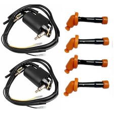 2x Ignition Coil + Spark Plug