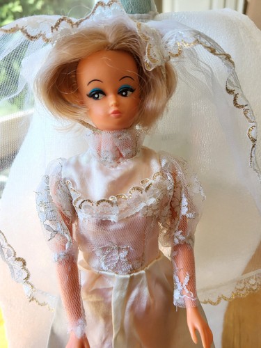 Petra von plasty pat appl - plasty, reg