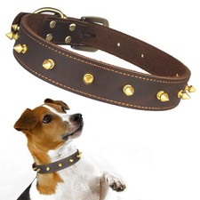 Hundehalsband Leder Hunde