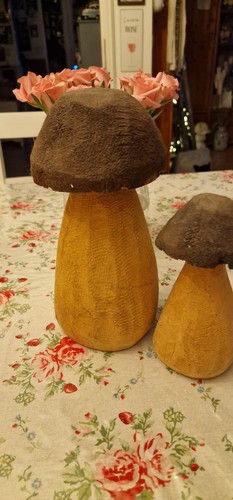 Holzpilze v - 2,