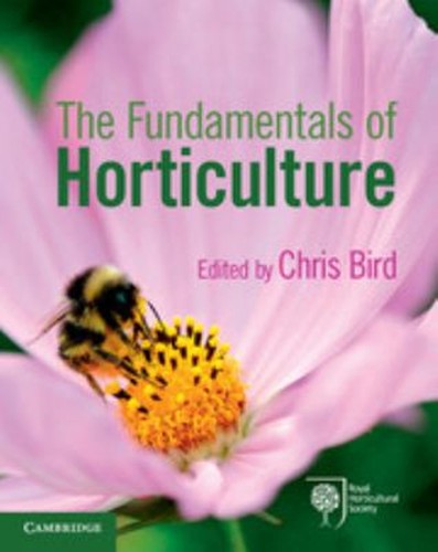 The fundamentals - the,