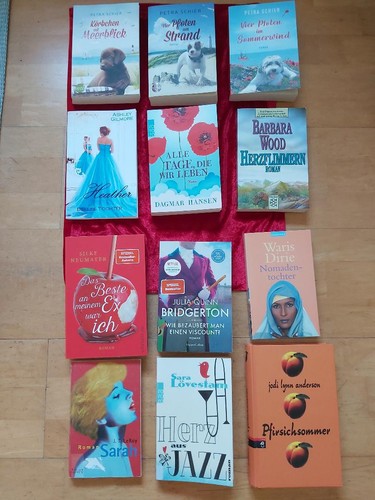 Bücherpaket - x,