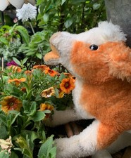 Großes Kälbchen von Steiff