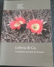 Lobivia & Co. – Aristokraten