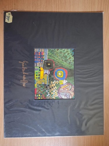 Hundertwasser die macht des - hundertwasser,