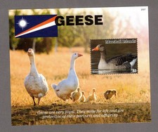 Marshall islands block 2007 - marshall,