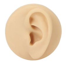 Weiches Silikon Linkes Ohr Modell Ohr Akupunktur Praxis Modell Simulation Ohr/