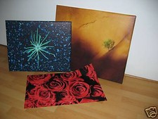 Indivudueller Leinwanddruck mit Keilrahmen 70 x 100 cm 