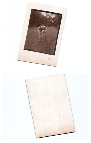 Westerplatte - (b77668a630),