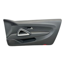 Türverkleidung vorne rechts