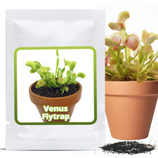 Venusfliegenfalle 20 - venusfliegenfalle,