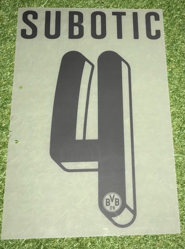 Neven subotic flock - subotic, in