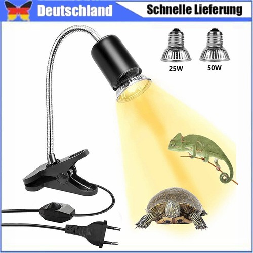 Schildkröten-Wärmelampe