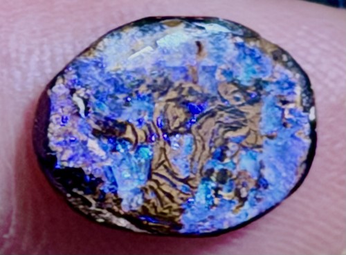 Boulder opal top gem - boulder,