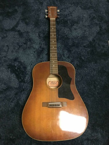Akustikgitarre aria pro - aria, ii