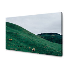 Leinwandbild Natur Weide in Neuseeland Größe: 40x30 cm bis 120x80 cm 