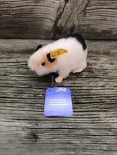 Steiff Meerschwein Swinny 1968, Knopf, Fahne 2250,09 und Schild, Größe 9cm