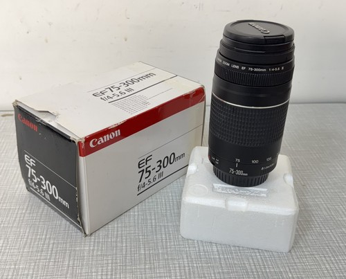 Canon zoom lens 300mm - lens, 75-300mm