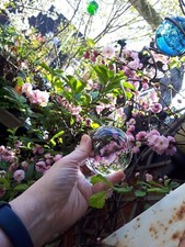 Fotokugel 100mm K9-Qualität