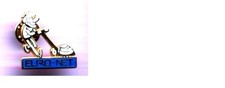 PIN's PINS - P675 - RO-NET -