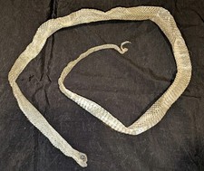 Originale echt gehäutete Schlangenhaut einer Kornnatter TOP Zustand 160 cm