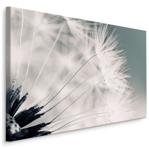Canvas leinwand bilder xxl - bilder,