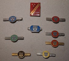 Abzeichen Ski Alpine