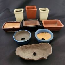 Japanisch Vitage Klein Bonsai