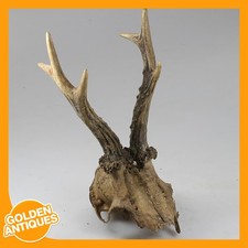 alter Vintage Hirsch Hirsch