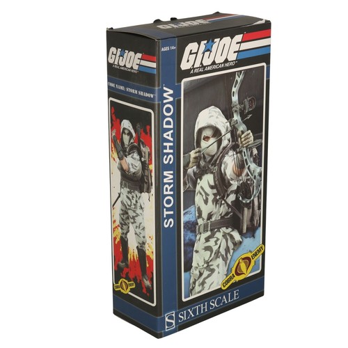 Storm shadow gi - g.i.,