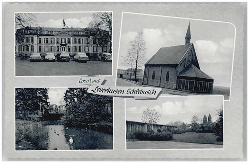 51371 w5090 schlebusch - 51371,