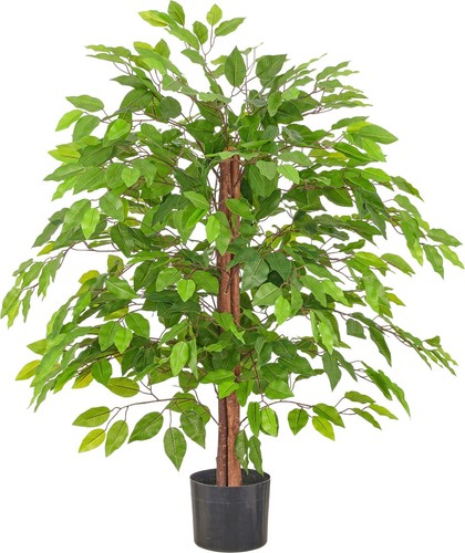 Creativ green kunstbaum ficus - kunstbaum,
