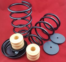 GOLDSCHMITT Zusatzschraubenfedern M5 für Hinterachse Fiat Ducato ab 2006