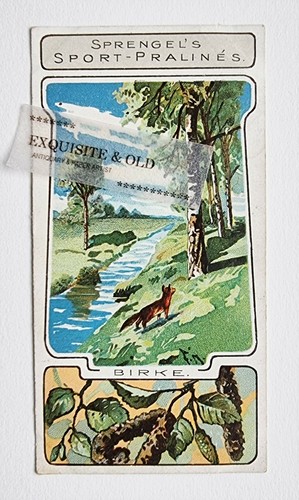 Sprengel sport pralinés - sprengel,