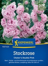 Stockrose " Charters Double Pink  " zweijährig  Stauden Blumen  -ca. 30 Samen