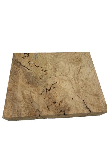 Esche maserholz drechselholz - maserholz,