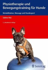 Physiotherapie und