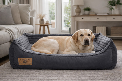 Xxl hundebett hundekissen - hundebett,