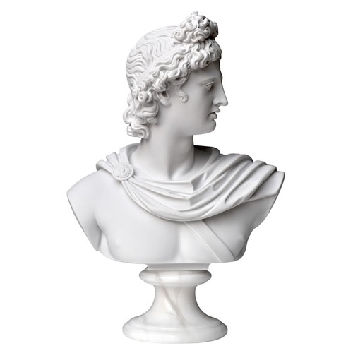 Büste von apollo belvedere - von,