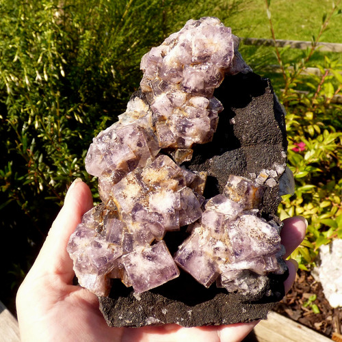 Purple fluorite cluster - purple,