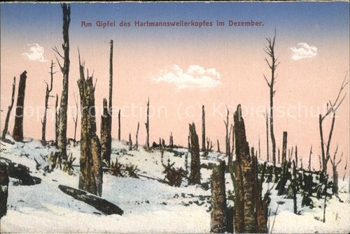 Hartmannsweilerkopf winter - im,