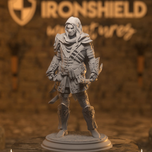 Sylvios elf rogue thief - sylvios,