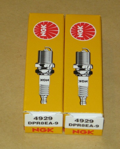 Zündkerzen ngk für - zündkerzen, suzuki